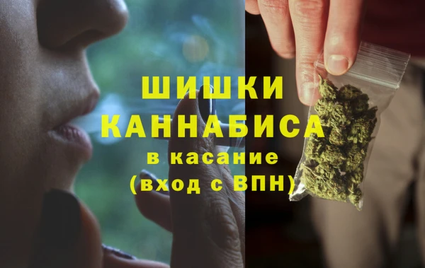 apvp Алзамай