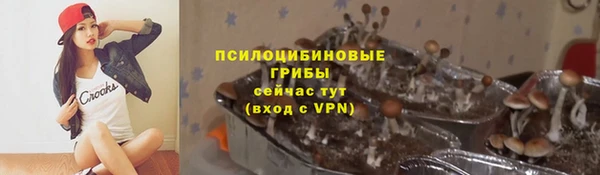 a pvp Алексеевка