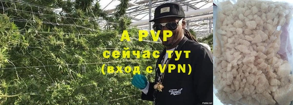 гидра Алексин