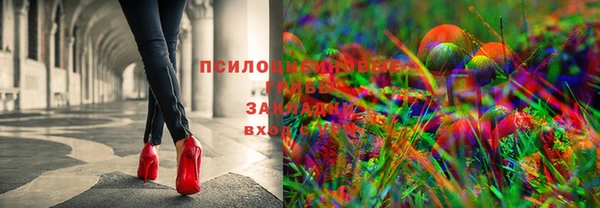 apvp Алзамай